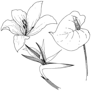 Tropikal çiçek bir vektör tarzı. İzole illüstrasyon öğesi. Arka plan, doku, sarıcı desen, çerçeve veya kenarlık için vektör çiçek.