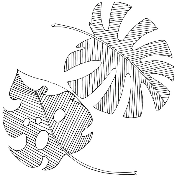 Векторне Тропічне Листя Акварельному Стилі Ізольовано Векторний Лист Тла Текстури — стоковий вектор