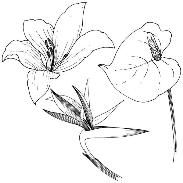 Τροπικό Λουλούδι Ένα Στυλ Διάνυσμα Απομονωμένη Εικονογράφηση Στοιχείο Διάνυσμα Λουλούδι — Διανυσματικό Αρχείο