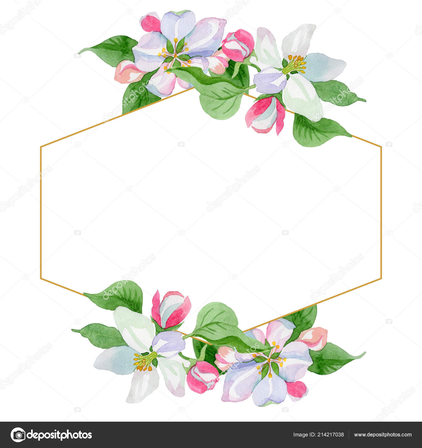 Watercolor Apple Blossom Flower Floral Botanical Flower Frame Border Ornament Stock Photo Image By C Mystocks Watercolor Apple Blossom Flower Floral Botanical Flower Frame Border Ornament Stock Photo Image By C Mystocks