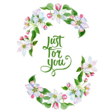 Suluboya elma çiçeği çiçek. Botanik çiçek. Çerçeve kenarlığı süsleme Meydanı. Arka plan, doku, sarıcı desen, çerçeve veya kenarlık için Aquarelle kır çiçeği.