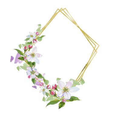 Suluboya elma çiçeği çiçek. Botanik çiçek. Çerçeve kenarlığı süsleme Meydanı. Arka plan, doku, sarıcı desen, çerçeve veya kenarlık için Aquarelle kır çiçeği.