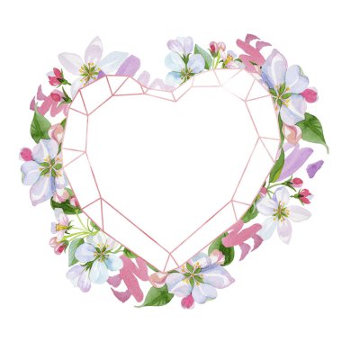 Suluboya elma çiçeği çiçek. Botanik çiçek. Çerçeve kenarlığı süsleme Meydanı. Arka plan, doku, sarıcı desen, çerçeve veya kenarlık için Aquarelle kır çiçeği.