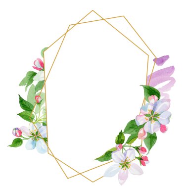 Suluboya elma çiçeği çiçek. Botanik çiçek. Çerçeve kenarlığı süsleme Meydanı. Arka plan, doku, sarıcı desen, çerçeve veya kenarlık için Aquarelle kır çiçeği.