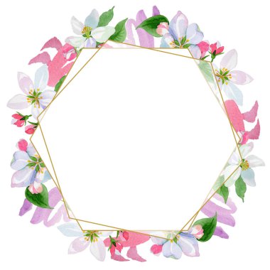 Suluboya elma çiçeği çiçek. Botanik çiçek. Çerçeve kenarlığı süsleme Meydanı. Arka plan, doku, sarıcı desen, çerçeve veya kenarlık için Aquarelle kır çiçeği.