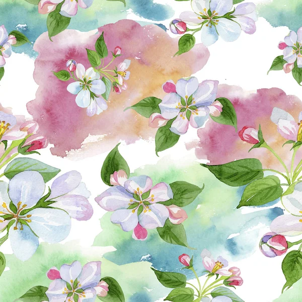 Watercolor Apple Blossom Flower Floral Botanical Flower Seamless Background Pattern — Stock Photo, Image