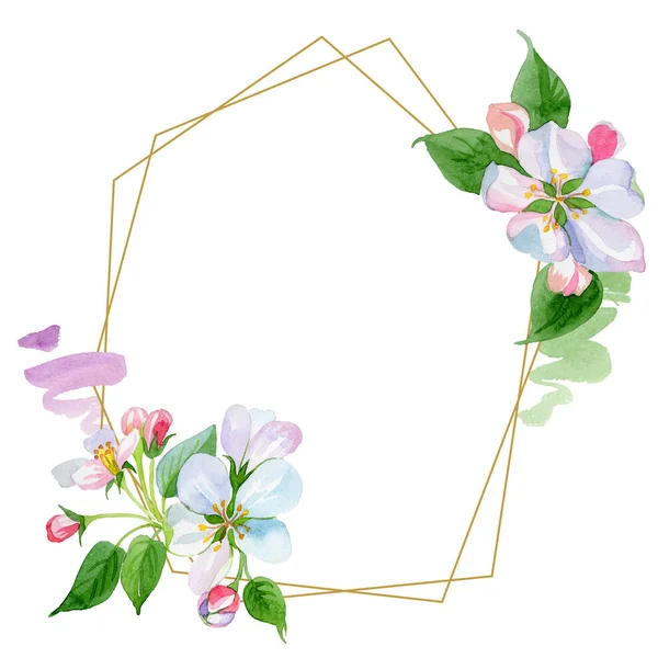 Watercolor Apple Blossom Flower Floral Botanical Flower Frame Border Ornament — Stock Photo, Image