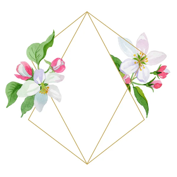 Watercolor Apple Blossom Flower Floral Botanical Flower Frame Border Ornament — Stock Photo, Image