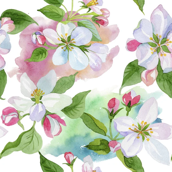 Watercolor apple blossom flower. Floral botanical flower. Seamless background pattern. — Stock Photo, Image