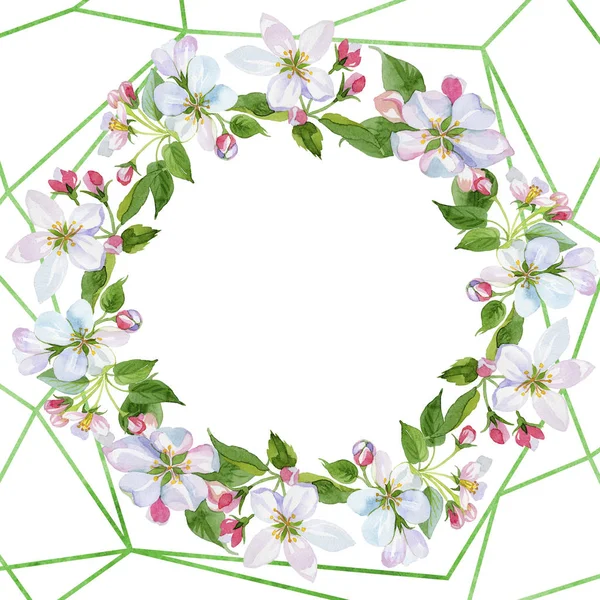 Watercolor apple blossom flower. Floral botanical flower. Frame border ornament square. — Stock Photo, Image