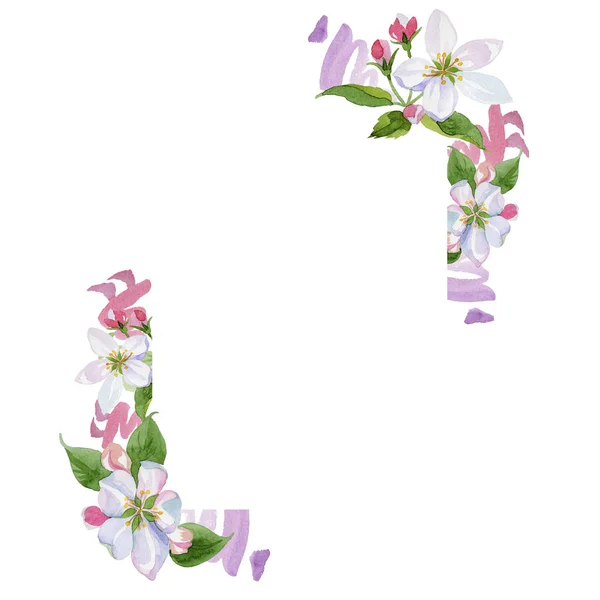 水彩アップル桜の花。花植物の花。フレーム枠飾りスクエア. — ストック写真