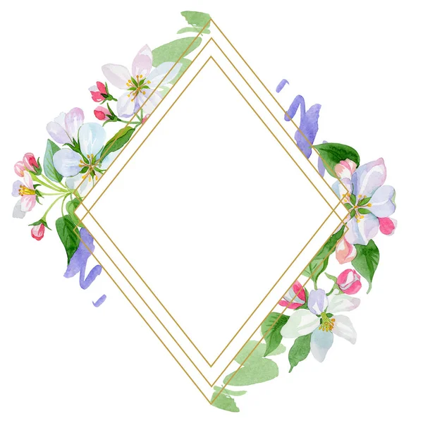 Watercolor apple blossom flower. Floral botanical flower. Frame border ornament square. — Stock Photo, Image