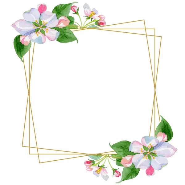 Aquarell Apfelblütenblume. Blütenbotanische Blume. Rahmen Rand Ornament Quadrat. — Stockfoto