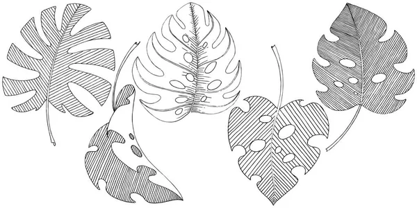 Hojas Tropicales Vectoriales Estilo Acuarela Aislado Hoja Vectorial Para Fondo — Archivo Imágenes Vectoriales