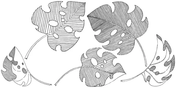 Векторне Тропічне Листя Акварельному Стилі Ізольовано Векторний Лист Тла Текстури — стоковий вектор