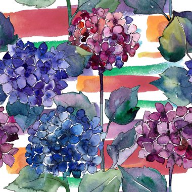 Suluboya mavi ve mor gortenzia çiçekler. Botanik çiçek. Sorunsuz arka plan deseni.