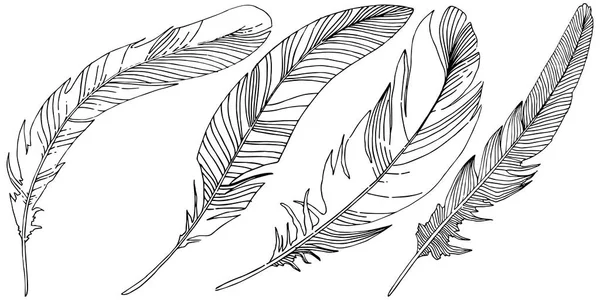 23 Isolated 4171 Vector Images Isolated 4171 Illustrations Depositphotos 23 Isolated 4171 Vector Images Isolated 4171 Illustrations Depositphotos