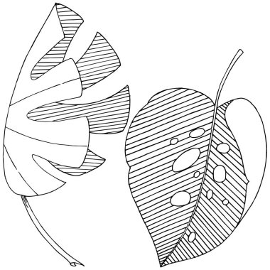 Vektör tropikal izole bir suluboya tarzında yaprak. Arka plan, doku, sarıcı desen, çerçeve veya sınır vektör yaprak.