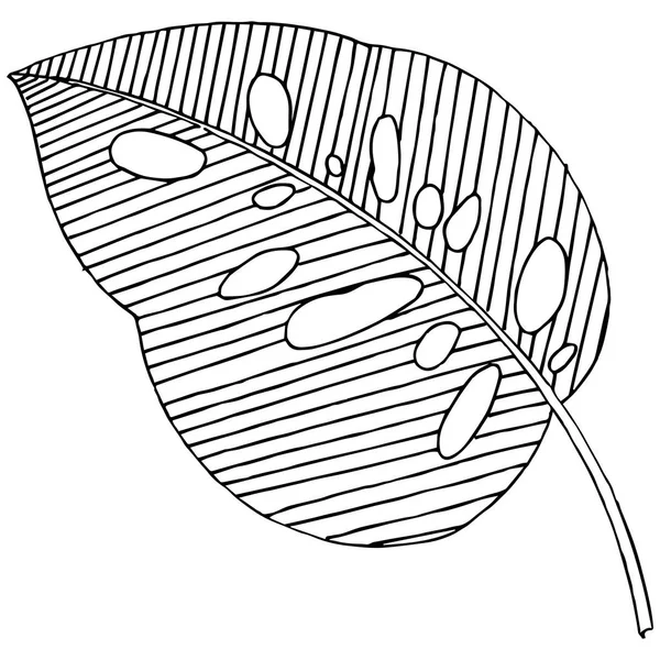 Vector Tropische Laat Een Aquarel Stijl Geïsoleerd Vector Blad Voor — Stockvector