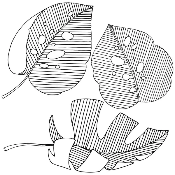 Hojas Tropicales Vectoriales Estilo Acuarela Aislado Hoja Vectorial Para Fondo — Archivo Imágenes Vectoriales