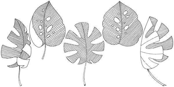 媒介热带叶子在水彩样式隔绝了 包装图案 框架或边框的矢量叶 — 图库矢量图片