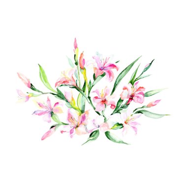 Sulu boya renkli buket alstroemeria çiçek. Botanik çiçek. İzole illüstrasyon öğesi. Arka plan, doku, sarıcı desen, çerçeve veya kenarlık için Aquarelle kır çiçeği.