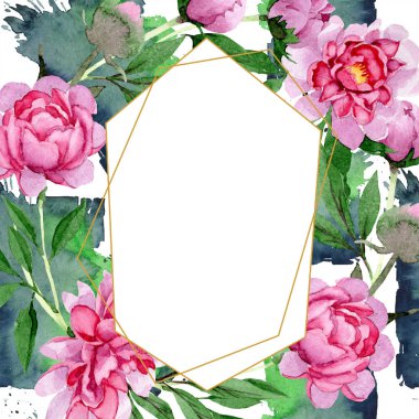 Sulu boya pembe şakayık çiçeği. Botanik çiçek. Çerçeve kenarlığı süsleme Meydanı. Arka plan, doku, sarıcı desen, çerçeve veya kenarlık için Aquarelle kır çiçeği.