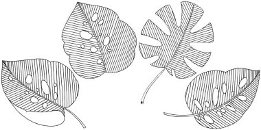 Vektör tropikal izole bir suluboya tarzında yaprak. Arka plan, doku, sarıcı desen, çerçeve veya sınır vektör yaprak.