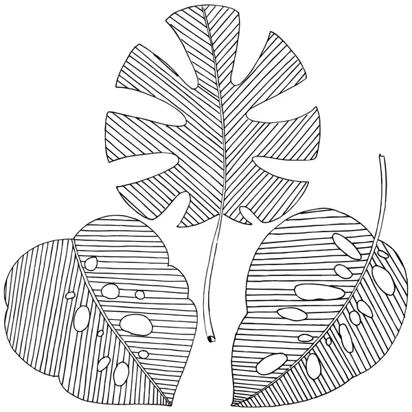 Hojas Tropicales Vectoriales Estilo Acuarela Aislado Hoja Vectorial Para Fondo — Archivo Imágenes Vectoriales