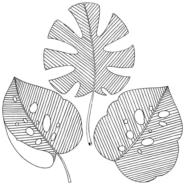 Hojas Tropicales Vectoriales Estilo Acuarela Aislado Hoja Vectorial Para Fondo — Archivo Imágenes Vectoriales