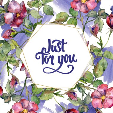 Sulu boya pembe buket yaban gülü. Botanik çiçek. Çerçeve kenarlığı süsleme Meydanı. Arka plan, doku, sarıcı desen, çerçeve veya kenarlık için Aquarelle kır çiçeği.