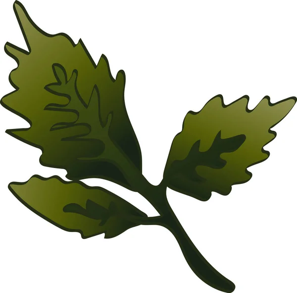 Vecteur Automne Vert Rose Feuilles Hanche Feuillage Floral Jardin Botanique — Image vectorielle