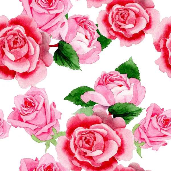 Acuarela Rosa Rosa Flor Flor Botánica Floral Patrón Fondo Sin —  Fotos de Stock