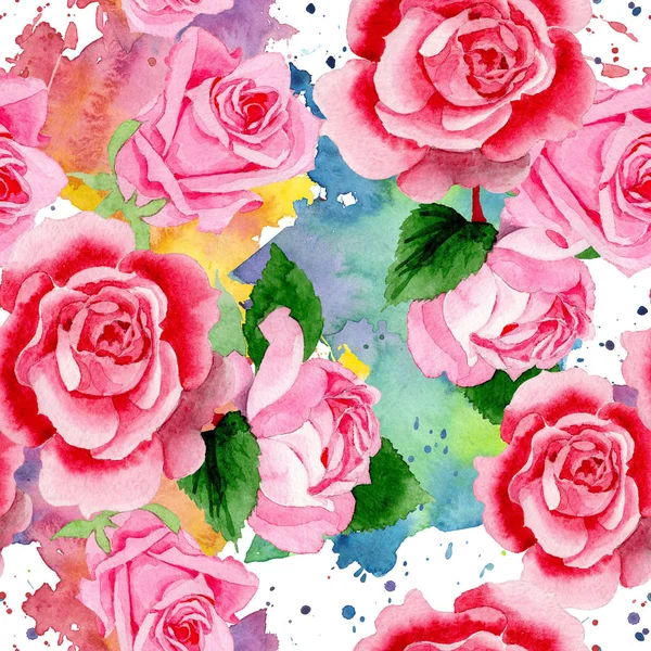 Suluboya pembe gül çiçek. Botanik çiçek. Sorunsuz arka plan deseni. Kumaş duvar kağıdı yazdırma doku. Arka plan, doku, sarıcı desen, çerçeve veya kenarlık için Aquarelle kır çiçeği.