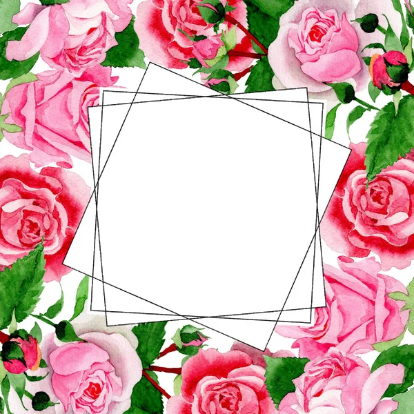 Suluboya pembe gül çiçek. Botanik çiçek. Çerçeve kenarlığı süsleme Meydanı. Arka plan, doku, sarıcı desen, çerçeve veya kenarlık için Aquarelle kır çiçeği.