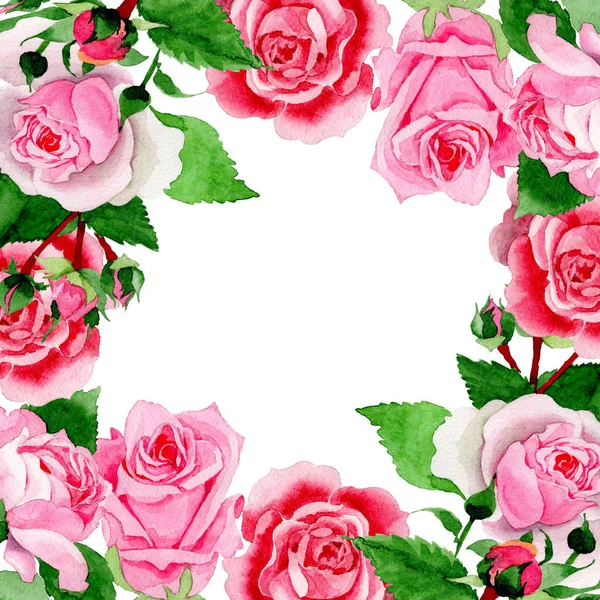 Aquarelle Rose Fleur Rose Fleur Botanique Florale Cadre Bordure Ornement — Photo