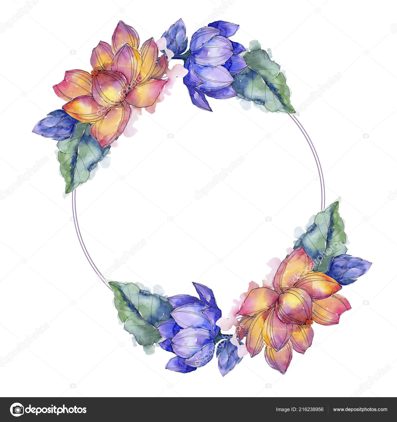 ワイルドフラワー水彩のカラフルな蓮の花 花植物の花 フレーム枠飾りスクエア テクスチャ ラッパー パターン フレームや境界線の Aquarelle ワイルドフラワー ストック写真 C Mystocks