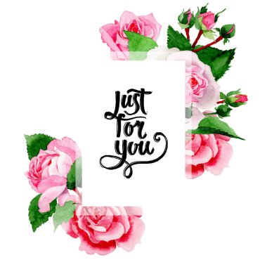 Suluboya pembe gül çiçek. Botanik çiçek. Çerçeve kenarlığı süsleme Meydanı. Arka plan, doku, sarıcı desen, çerçeve veya kenarlık için Aquarelle kır çiçeği.