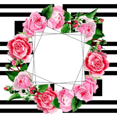 Suluboya pembe gül çiçek. Botanik çiçek. Çerçeve kenarlığı süsleme Meydanı. Arka plan, doku, sarıcı desen, çerçeve veya kenarlık için Aquarelle kır çiçeği.