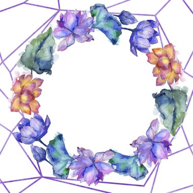 Kır çiçeği suluboya renkli lotus çiçeği. Botanik çiçek. Çerçeve kenarlığı süsleme Meydanı. Arka plan, doku, sarıcı desen, çerçeve veya kenarlık için Aquarelle kır çiçeği.