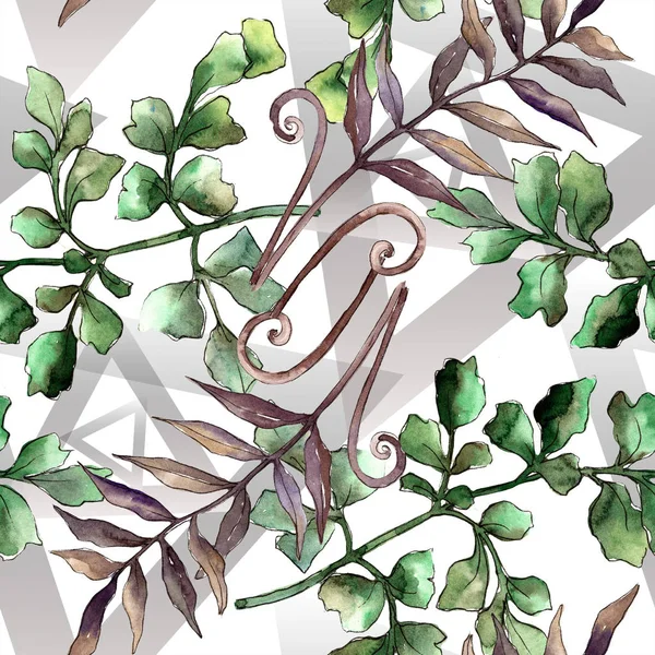 秋のカラフルなシダを葉します 葉植物植物園花葉 シームレスな背景パターン 壁紙印刷手触りの生地 テクスチャ ラッパー パターン ボーダー Aquarelle — ストック写真