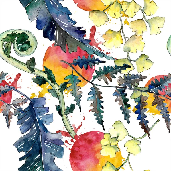 Осіннє Барвисте Листя Папороті Листя Рослини Ботанічний Сад Квіткового Листя — стокове фото