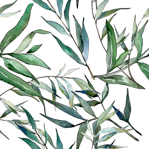 Watercolor Green Willow Branches Leaf Plant Botanical Garden Floral Foliage — Stock Photo, Image