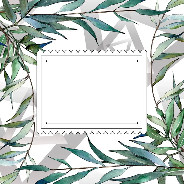 水彩緑柳の枝 葉植物植物園花葉 フレーム枠飾りスクエア テクスチャ ラッパー パターン フレームや境界線の Aquarelle — ストック写真