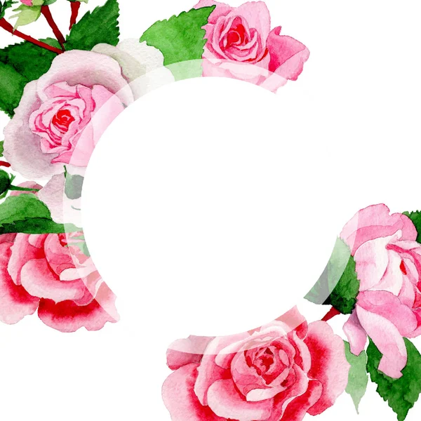 Aquarela Rosa Rosa Flor Floral Flor Botânica Quadro Borda Ornamento — Fotografia de Stock