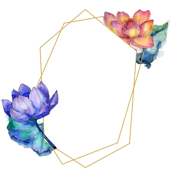 Wildflower Aquarel Kleurrijke Lotusbloem Floral Botanische Bloem Frame Grens Ornament — Stockfoto