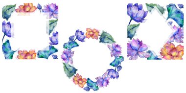 Kır çiçeği suluboya renkli lotus çiçeği. Botanik çiçek. Çerçeve kenarlığı süsleme Meydanı. Arka plan, doku, sarıcı desen, çerçeve veya kenarlık için Aquarelle kır çiçeği.
