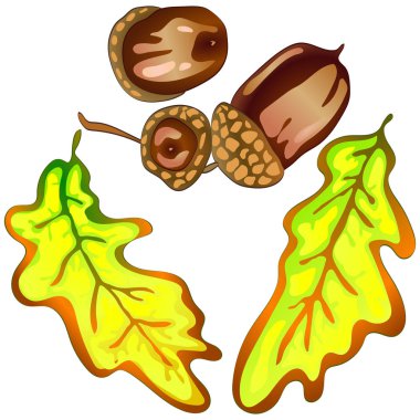 Vektör sonbahar sarı meşe yaprakları. Yaprak bitki botanik bahçe çiçek yaprakları. İzole illüstrasyon öğesi. Arka plan, doku, sarıcı desen, çerçeve veya sınır vektör yaprak.