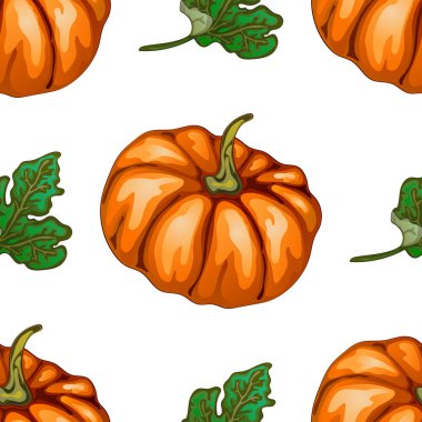 Sonbaharda hasat. Balkabağı. Vektör çizim gerçekçi bir tarzda idam beyaz zemin üzerinde. Arka plan, doku, sarıcı desen, çerçeve veya sınır vektör bitki.