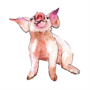 Pembe domuz vahşi hayvan izole bir suluboya tarzında. Aquarelle vahşi hayvan arka plan, doku, sarıcı desen veya dövme için.